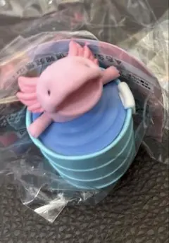 秘湯を訪ねて　ウーパールーパー