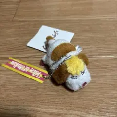 77769994_1