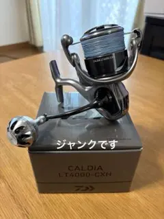 2026年最新】25カルディア LT4000-CXHの人気アイテム - メルカリ