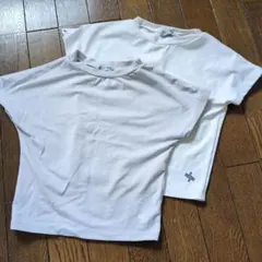 ゼクシィミックス　半袖Tシャツ 2色セット