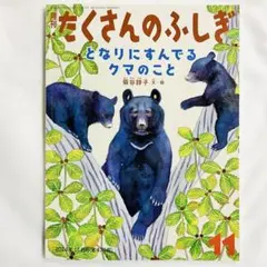 『たくさんのふしぎ』隣に住んでる熊のこと 付録付き2024年11月号 ふしぎ新聞