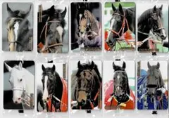 2025年最新】まねき馬 ディープインパクトの人気アイテム - メルカリ