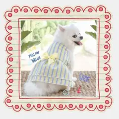 ストライプ ワンピース 犬服 ドッグウェア ペット イエロー ブルー Lサイズ