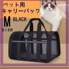 Item thumbnail for item 18ce7952-f70e-47a1-9bcd-fc5139b10b24