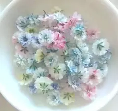 No,387☘️淡いかすみ草のドライフラワー