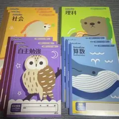 小学生 ノート 算数 理科　社会 自主勉強　合計10冊セット