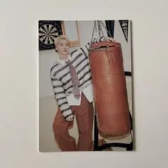 SEVENTEEN HOLIDAY セブチ トレカ ホシ 28