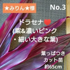 ★みりん★様 リクエスト 3点 まとめ商品