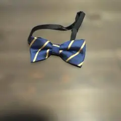 ネイビーゴールドストライプ蝶ネクタイ