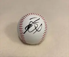 2026年最新】西武 ライオンズ サインボールの人気アイテム - メルカリ