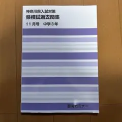 Item thumbnail for item 865a000e-c38d-436e-a41b-8cbaf199d8cd