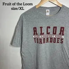 【US古着】フルーツオブザルーム ALCOA スクールロゴ 染み込み Tシャツのサムネイル