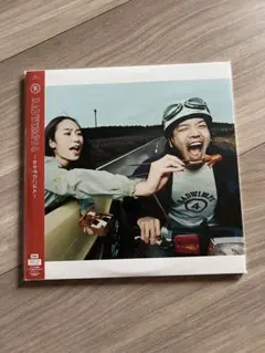 2026年最新】radwimps アナログ盤の人気アイテム - メルカリ