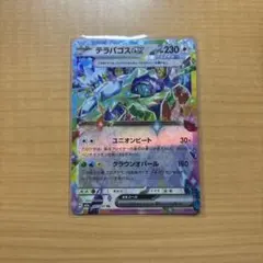 ポケモンカード　テラパゴスex RR