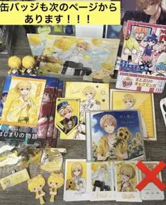 すとぷり るぅとくん まとめ売り バースデーグッズ＆カラオケ＆映画などなど