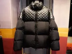 2025年最新】LOUIS VUITTON 素材(詰め物)：ダウン メンズ ダウン