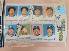 北海道日本ハムファイターズ 証明写真風ステッカー 田宮裕涼　2枚セット