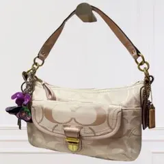 2026年最新】COACH コーチ シグネチャーアクセサリーポーチの人気