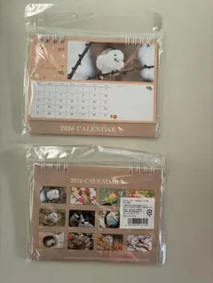 Item thumbnail for item 470f9f57-8500-40ae-bd28-4dafb0fb975b