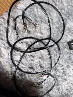Amazonベーシック スピーカーケーブル 1.8m 2本のサムネイル