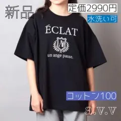 エンブレム刺繍 ロゴオーバー 半袖 Ｔシャツ　綿100 コットン100　完売品のサムネイル
