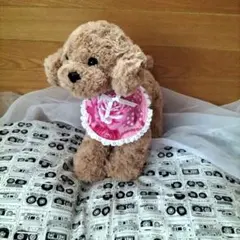 Item thumbnail for item db84d587-c003-434c-90c6-d154aad654d0