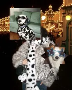 【ディズニー・101匹ワンちゃんファンキャップ】