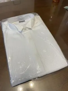 Item thumbnail for item 245f7590-9eff-47b5-920c-a80b35546b6f