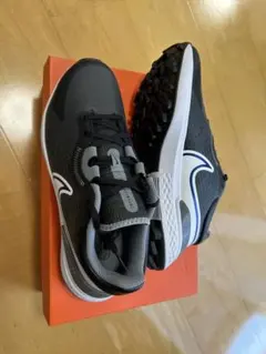 NIKEインフィニティPRO 2 26.5cm