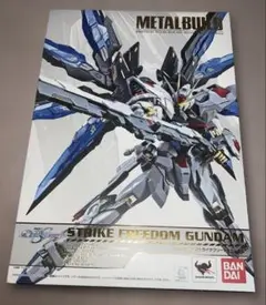 METAL BUILD ZGMF-X20A 빛 날개 옵션 세트