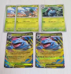 メガフシギバナex ソーラートランス RR 進化ライン