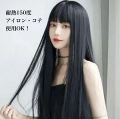レディース ロングウィッグ フルウィッグ ブラック 耐熱のサムネイル