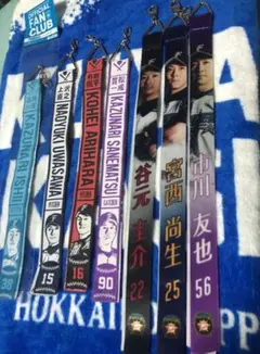 北海道日本ハムファイターズ ボンフィン