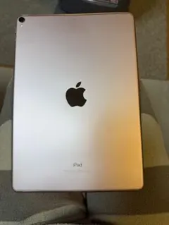 iPad Pro 10.5インチ（第2世代） 64G ジャンク　本体のみ