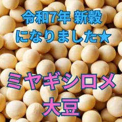新穀になりました◆超美肌ミヤギシロメ大豆 令和7年産 10kg★有機栽培ダイズ★