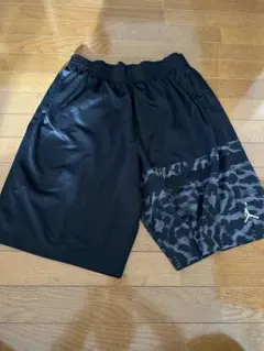 Item thumbnail for item 3c2849a6-719b-4637-858a-f42416c6a53f