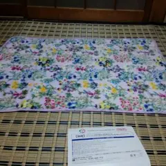 かんぽ生命×FEIＬER  　オリジナルブランケット