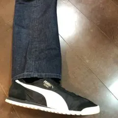 Item thumbnail for item cbef1575-da39-469b-86af-1b4e67e351b1