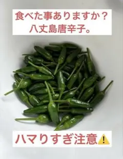 八丈島　生青唐辛子30個のサムネイル