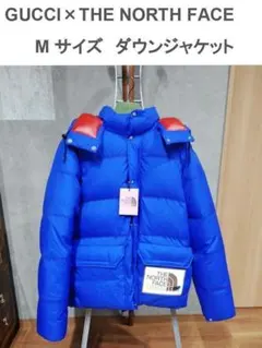 グッチ　ノースフェイス　コラボ　ダウンジャケット　Mサイズ　新品