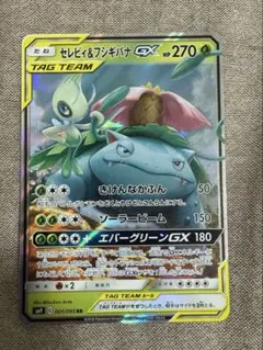 セレビィ&フシギバナgx