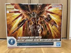 2026年最新】MG ハイネ専用デスティニーガンダムの人気アイテム - メルカリ