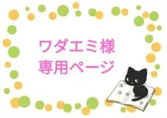 ワダエミ様専用ページです！