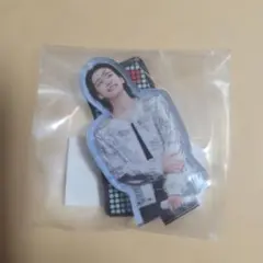 アクリルスタンド seventeen jeonghan follow