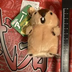 【AMUFUN】マーモットのもっとっと　LMC　アー太郎