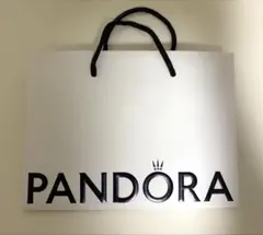 PANDORA ショップ袋 ショッパーのサムネイル