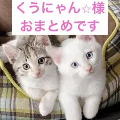 くうにゃん⭐︎コメント前プロフ一読下さい様 リクエスト 5点 まとめ商品
