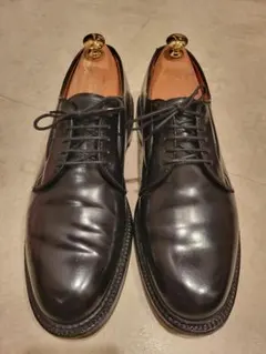 Alden ブラック 9901