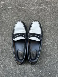 Item thumbnail for item 77208441-b9a7-4ca0-8fff-597f5b0c53e0