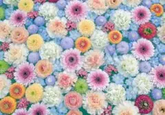 阿良々木忍様専用ページ